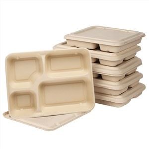 Bagasse Sugarcane Takeaway Kontejneri