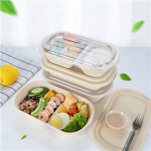 Bento kutija za jednokratnu upotrebu sa poklopcem