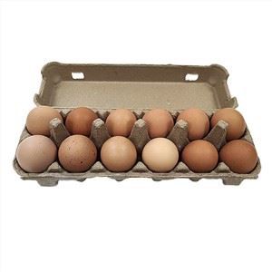 Egg Cartons Molded Pulpa
