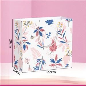 Prilagođena štampana papirna poklon vrećica